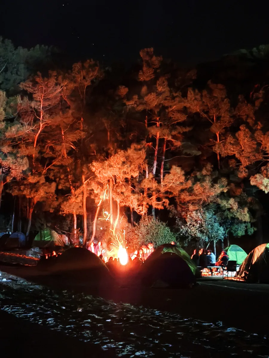 Gece çam ormanında kamp ateşi etrafında kurulu çadırlar